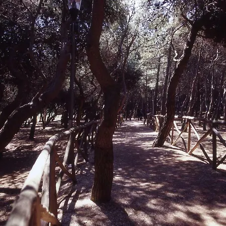 Διαμέρισμα Mini Estivo *